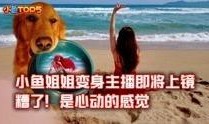 小鱼在线观看