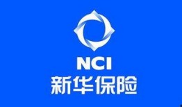 爆料新华保险视频大全,揭秘保险行业精彩瞬间